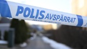 De kriminella kan knäcka det Sverige som vi vill ha