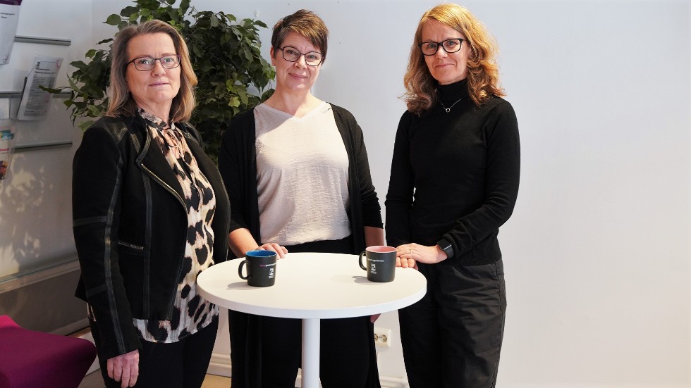 Carola Karlsson, Catherine Löfhaugen och Sari Lanninger arbetar som kompetensmäklare på Kompetensgallerian i Eskilstuna. 