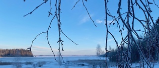 Monsterkyla i hela länet – minus 40 på sina håll