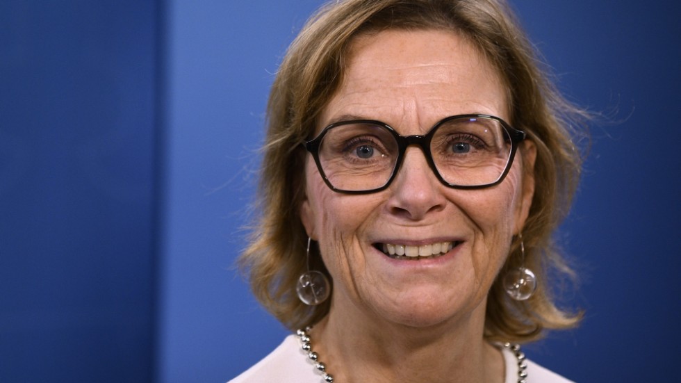 Lotta Medelius-Bredhe är generaldirektör på Svenska kraftnät och omnämns av debattören. 