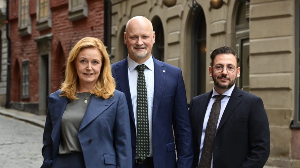 Elisabeth Thand Ringqvist, Daniel Bäckström och Muharrem Demirok är kandidaterna till ny partiledare som presenterats av Centerpartiets valberedning.