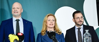 Här är östgöten som kandiderar som ny partiledare – kan efterträda Annie Lööf 