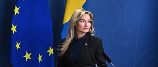 Svenska kraftnät får skänka till Ukraina