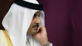 Qatars emir om kritiken mot landet: Förtal