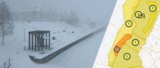 SMHI utfärdar gul varning för snöoväder längs kusten • Kraftigt snöfall och hårda vindar • Flaggar för trafikkaos: ”Så kallad pålandsvind”