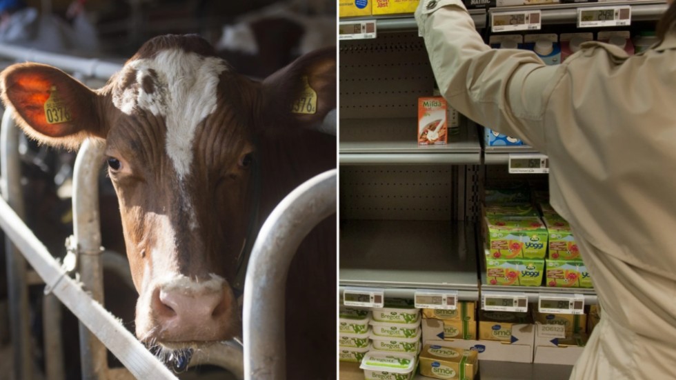 Priset på smör som konsument får betala och den sänkta ersättningen till mjölkproducenterna är en ekvation som insändarskribenten inte får ihop. 