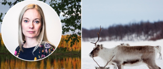 Kaunis Irons tillstånd försenat igen • Krav på miljoner från finsk rennäring • Finska frågor om älven