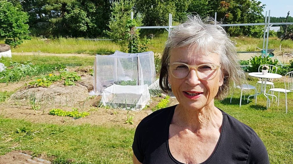 Lna Hjelte har anlagt en trädgård i venskögle. nu befarar hon att vildsvinen ska förstöra den och vill ha en debatt om vad stat och jägarkår kan göra för att minska vildsvinens skadeverkningar.
