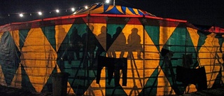 Cirkuskulturen hotas av avgifter