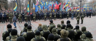 EU ska stödja Ukrainas utveckling