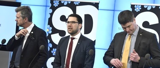 Sverigedemokraterna hycklar