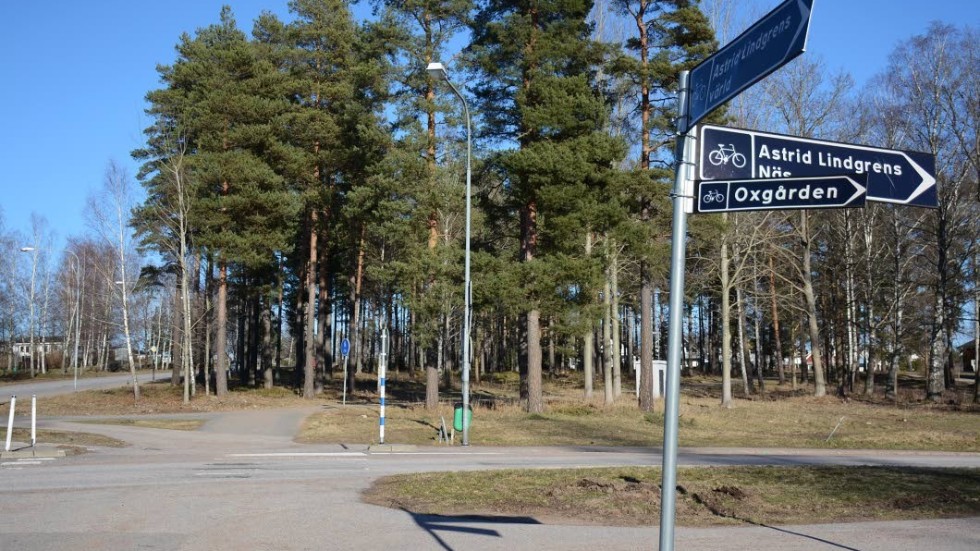 Här, intill Näs-rondell där det idag finns en talldunge, planerar kommunen för ett nytt handelsområde.