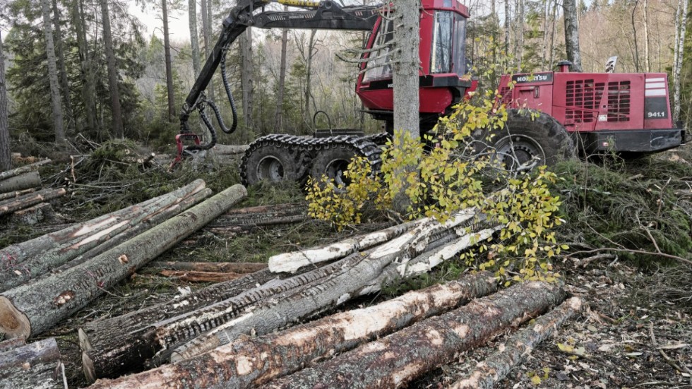Skogsutredningen ska hitta en balans mellan naturvård och avverkning. Arkivbild.