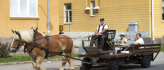 Bengt fick rullstolsanpassad hästtur till Brandholmen
