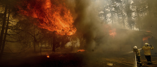 Efter brandkatastrofen: Markägare manas röja