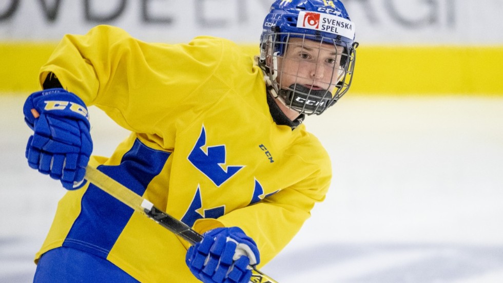 "Det gäller att förstå att vi är underdogs och spela därefter", säger Sabina Küller, forward som var med och ramlade ur A-VM på våren 2019. Den insikten har inte alltid funnits, tycker hon.