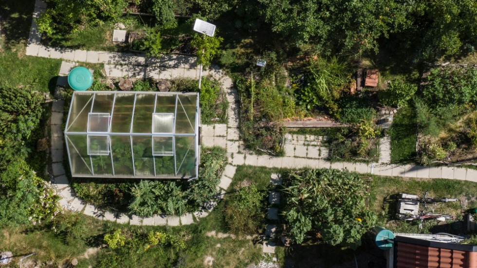 Växthuset har automatisk bevattning med solceller, 12-voltstimer och 12-voltspump. "Det är ett sätt att spara vatten. Man kan räkna ut exakt hur mycket som behövs i stället för att man springer med vattenkannor och går på känsla", säger Emma Wahlberg.