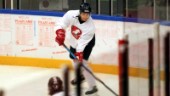 Avslöjar: Backen lämnar Hästen för hockeyettan