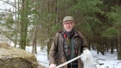 Baroniet matar hjortar för 100 000-tals kronor: "Kan inte låta dem dö"