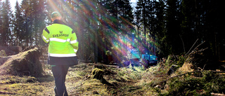 Sveaskog får kritik från människorättsgrupp