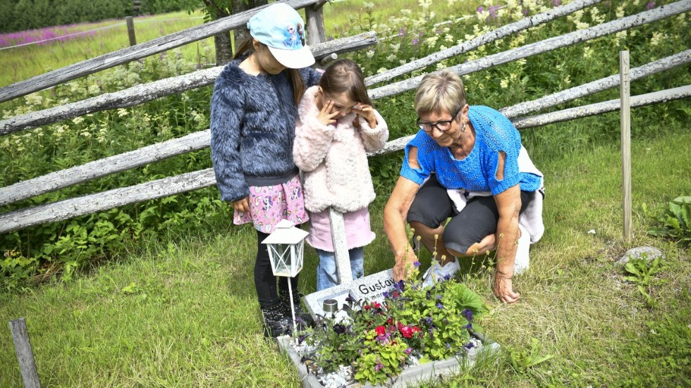 Vivi-Anne Ågren och hennes barnbarn Eleanor och Nova Ågren Vikström vattnar och pysslar om blommorna på katten Gustavs grav.
