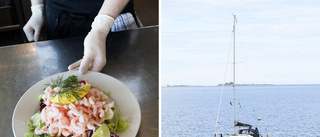 Drama framför räksmörgåsätande Umebor – när segelbåt gick på grund: ”Följde den med ena ögat samtidigt som vi åt”