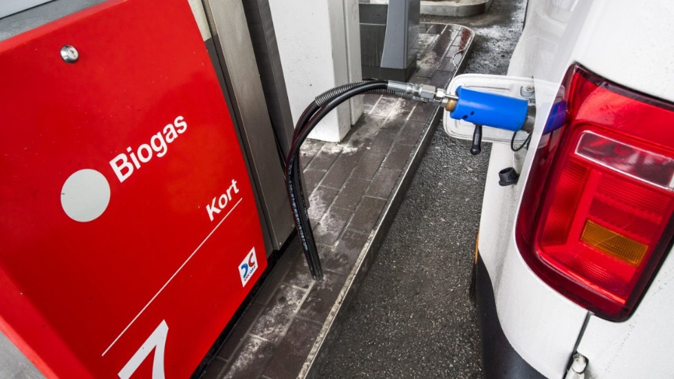 Inför premier för företag som uppgraderar biogasen så att den kan användas som fordonsbränsle. 