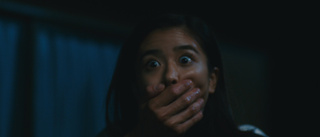 Psykosexuell terror i Netflix nya spökserie "Ju-On: origins"
