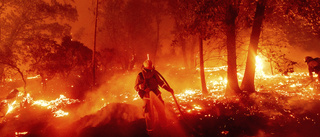 Brandkaos i Kalifornien: "Orten brinner ned"