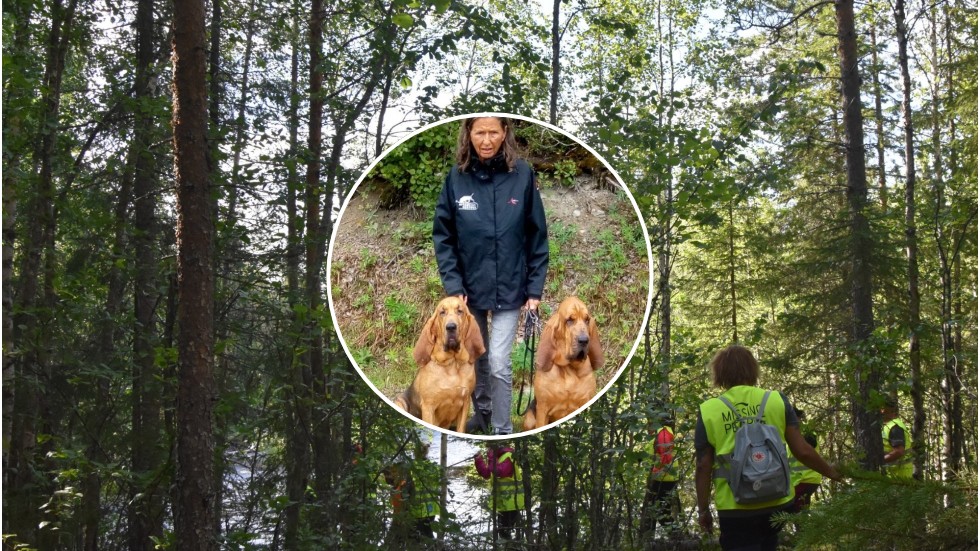 Gerd Andersson och hennes två blodhundar ska hjälpa till i söket efter försvunne Mikael Simonsson.
