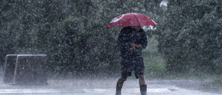 Regnrekord i Kusmark — 203 millimeter