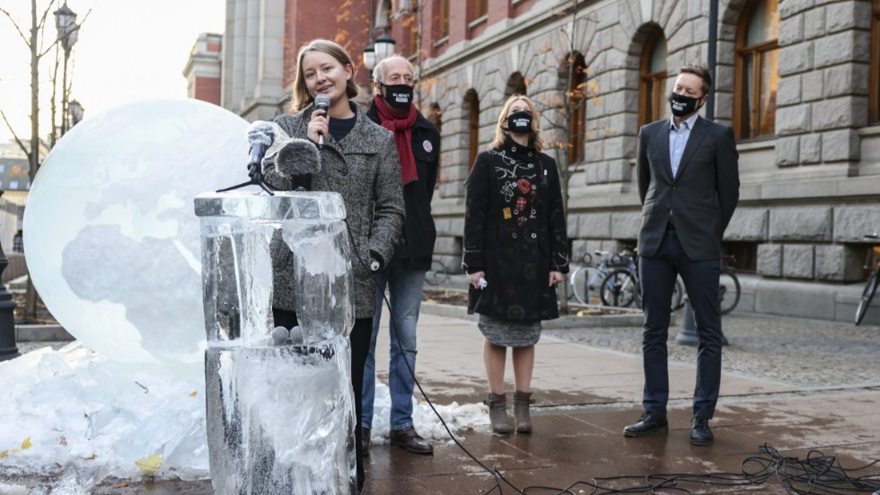 Therese Hugstmyr Woie från Natur og Ungdom talar utanför Högsta domstolen i samband med förhandlingen i november.