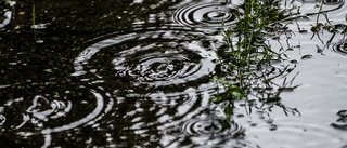 SMHI varnar: Risk för kraftigt regn