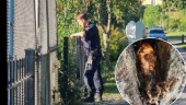 Misstänkt granat hittad i Torshälla – bombskyddet kallades in: "Obehagligt"