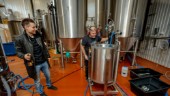 Lokala ölen ska säljas nationellt – nu kan bryggeriet expandera: "Helt enormt för oss"