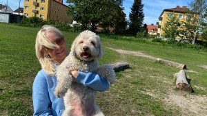 Beskedet: Tillräckligt med hundrastgårdar i Norrköping • Hundägaren: "Det handlar ju inte bara om att bajsa och kissa"