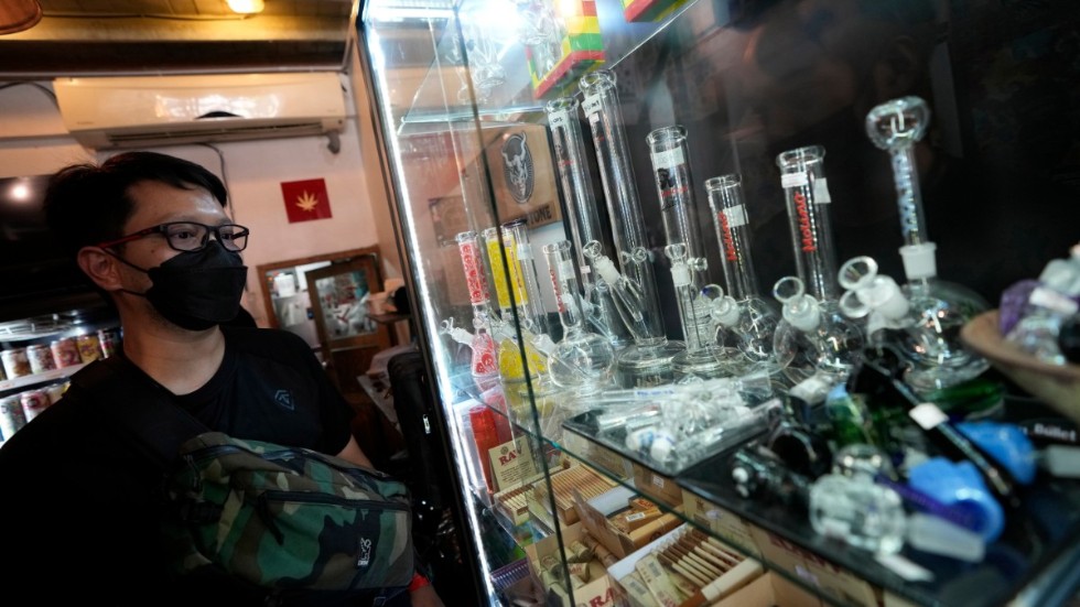 En kund studerar utbudet på Highland Cafe i Bangkok, ett av de många ställen i Thailand där man kan köpa cannabis och utrustning för att konsumera den. Arkivbild.