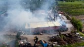 Plantskola utanför Lund förstördes i brand