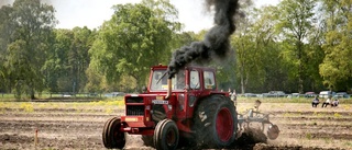 Plöjning med bredställ: Traktortokarnas stora show