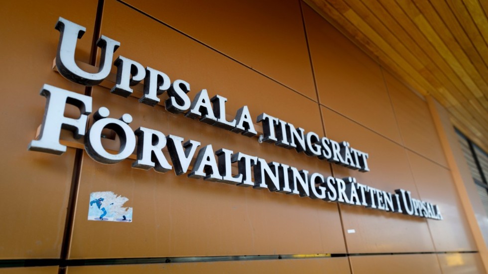 En granskning av LVU-domar visar att skälen för att omhänderta barn i Sverige knappast kan ifrågasättas.