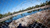 BESKEDET: Avslag för kalkbrott i Ojnareskogen