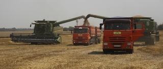 Rysk stöld av ukrainsk spannmål fördöms