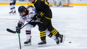 Här är talangerna som får plats på hockeygymnasiet i Linköping – elva från LHC