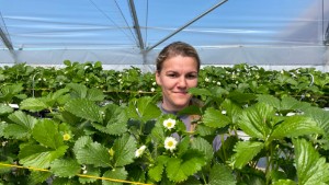 Josefin startar jordgubbsodling på otraditionellt vis – "Det sparar jättemycket på kroppen"