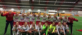 Förlust mot Västerbotten i SM-slutspelet
