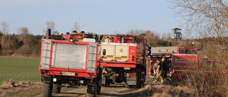 Brand i skogsterräng