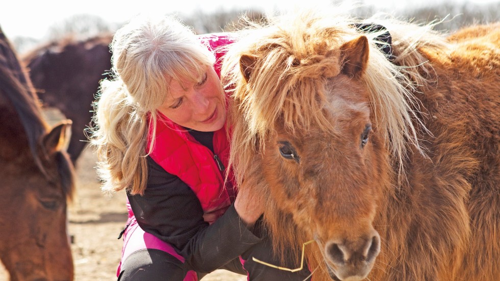 Lisa Engsrone startade B&B på gården 2000, hästarna kom in i verksamheten 2003. 
