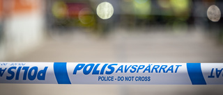 En anhållen efter misstänkt mord i Höganäs