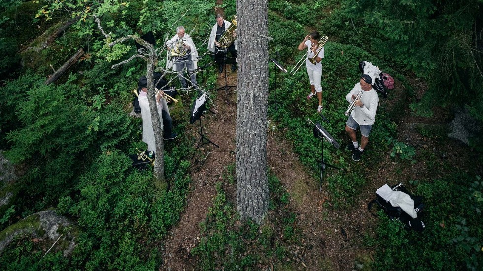 Skogen blir Östgötamusikens scen i helgen. 