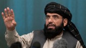 Talibanerna får troligen nobben av FN